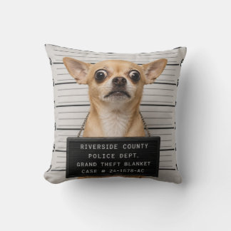 Chihuahua-Mugshot: Schwerer Diebstahl einer Decke Kissen