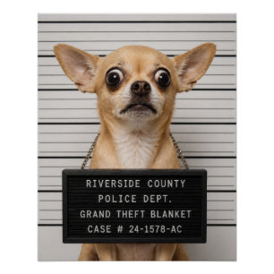 Chihuahua-Mugshot: Schwerer Diebstahl einer Decke Poster