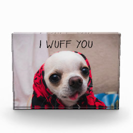 Chihuahua niedlich, ich wähe dir Liebe Valentines Fotoblock