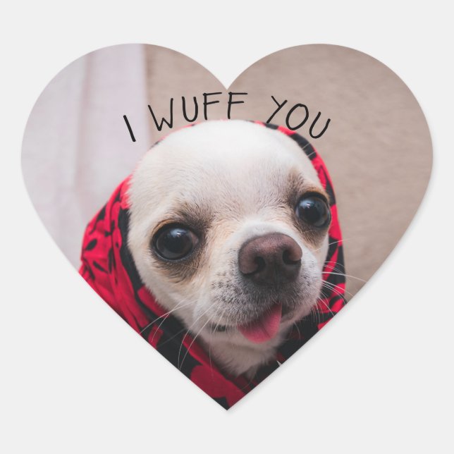 Chihuahua niedlich, ich wähe dir Liebe Valentines Herz-Aufkleber (Vorderseite)