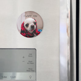 Chihuahua niedlich, ich wähe dir Liebe Valentines Magnet