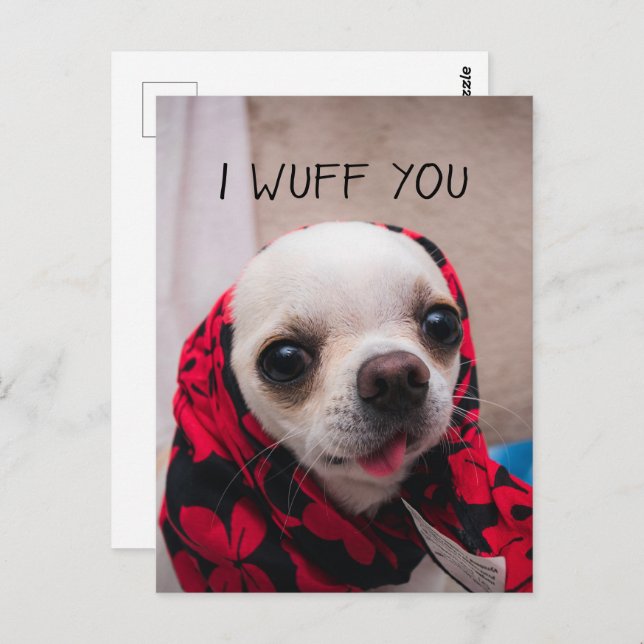 Chihuahua niedlich, ich wähe dir Liebe Valentines Postkarte (Vorne/Hinten)