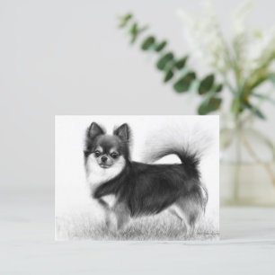 Chihuahua - Originelle Kunst Postkarte