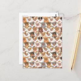 Chihuahua Pattern Postkarte