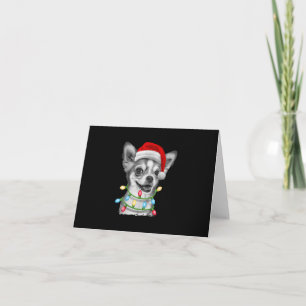 chihuahua père Noël lumières des arbres Noël Noël
