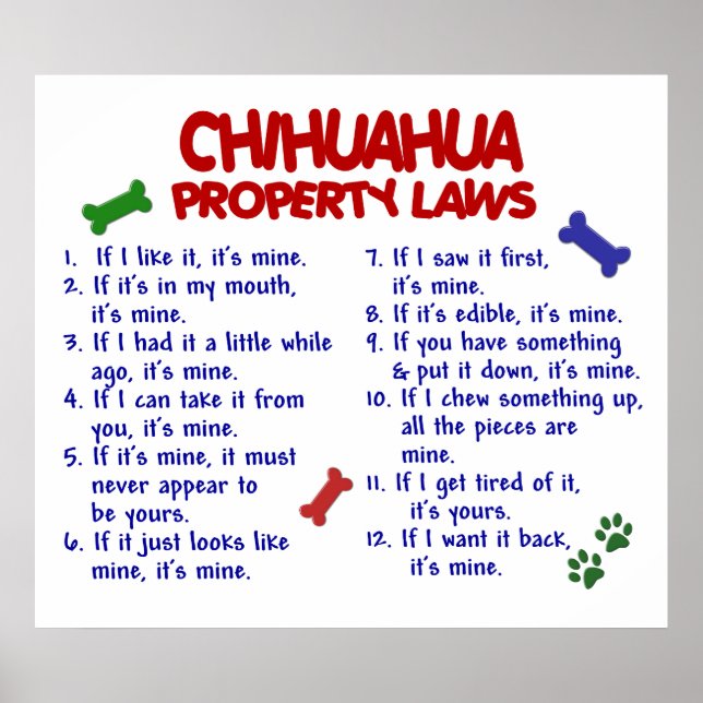 CHIHUAHUA PL2 POSTER (Vorne)