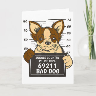 Chihuahua Police District  Karte