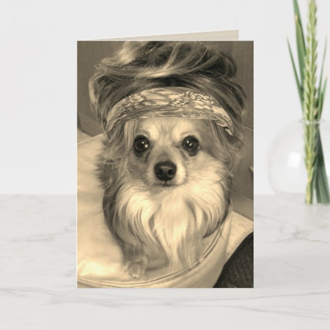 Chihuahua portant une perruque sur sepia Carte d'a (Devant)