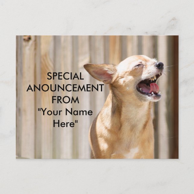 Chihuahua Postcard Postkarte (Vorderseite)