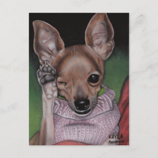 Chihuahua Postcard Postkarte