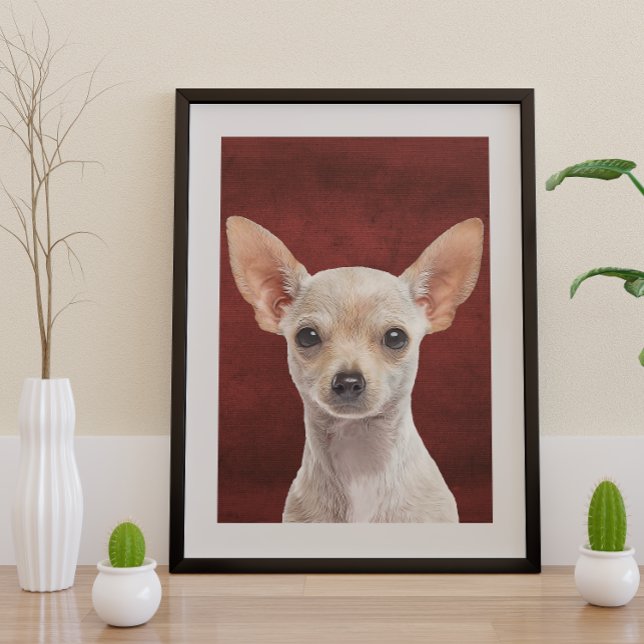 Chihuahua Poster (Von Creator hochgeladen)