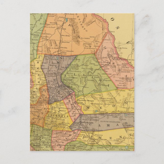 Chihuahua Postkarte (Vorderseite)