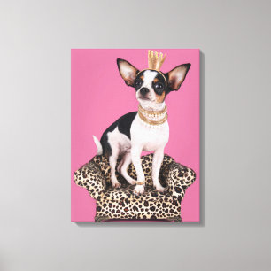 Chihuahua Princess Leinwanddruck
