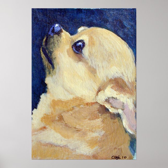 Chihuahua Print Poster (Vorne)