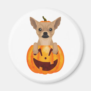 Chihuahua Pumpkin Classic Round Sticker Magnet