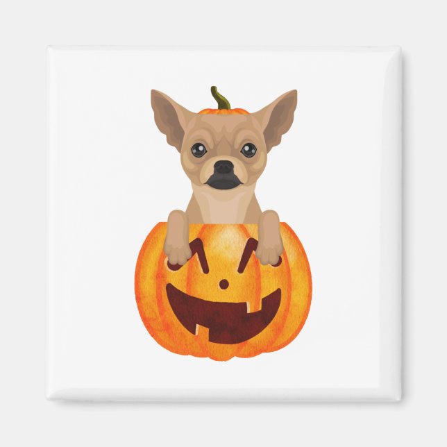 Chihuahua Pumpkin Magnet (Vorne)
