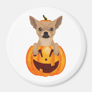Chihuahua Pumpkin Magnet