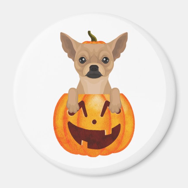 Chihuahua Pumpkin Magnet (Vorne)