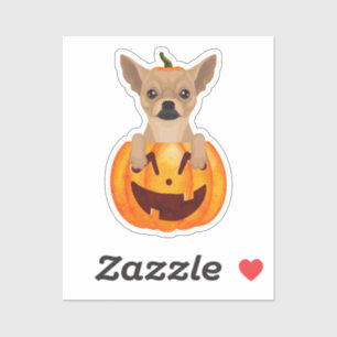 Chihuahua Pumpkin Sticker