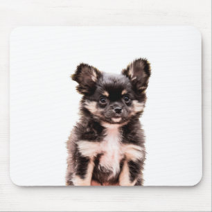 Chihuahua Puppy Dog Mousepad
