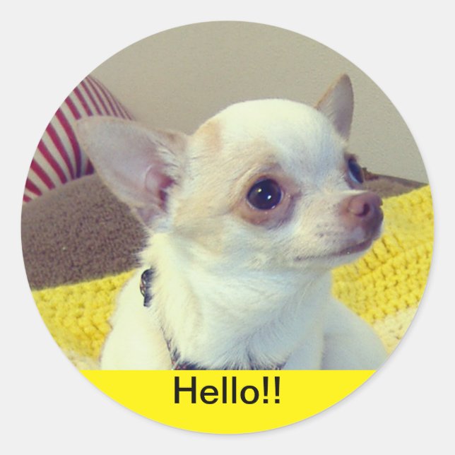 Chihuahua Puppy  Runder Aufkleber (Vorderseite)