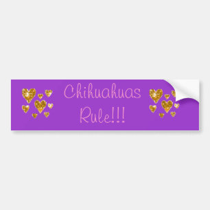 Chihuahua-Regel!!! Autoaufkleber