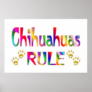 Chihuahua-Regel Poster