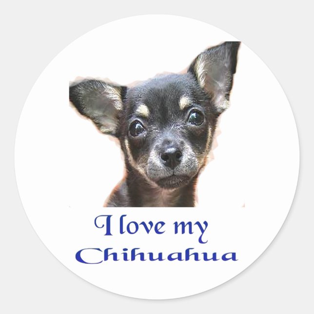 Chihuahua Runder Aufkleber (Vorderseite)
