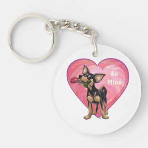 Chihuahua Saint-Valentin