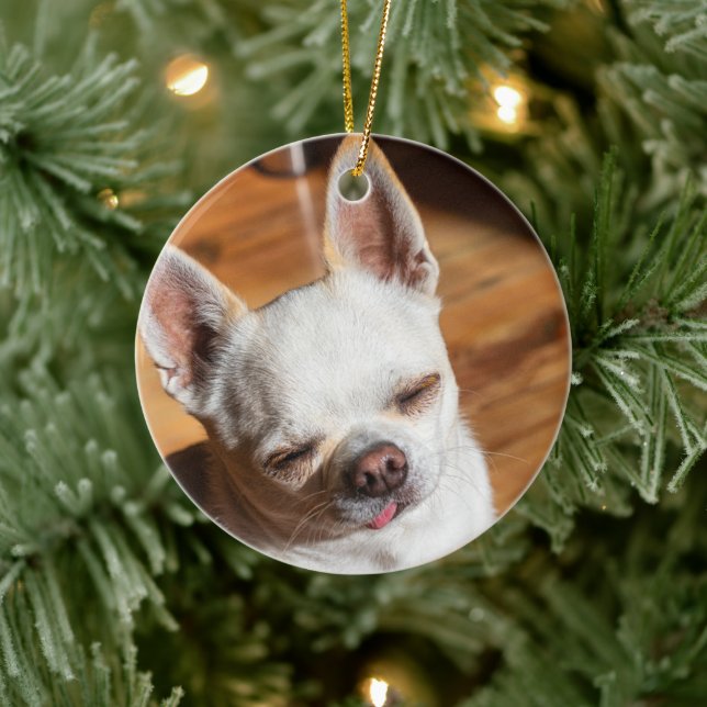 Chihuahua-schläfriger Squint entspanntes Zungenaus Keramik Ornament (Baum)