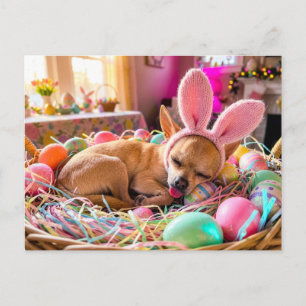 Chihuahua schläft in Osterkörbchen Postkarte