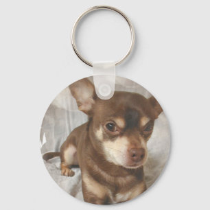Chihuahua-Schlüsselanhänger Schlüsselanhänger
