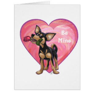 Chihuahua sei der Valentinstag
