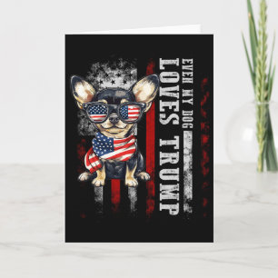 Chihuahua, selbst mein Hund liebt Trump lustig  Karte