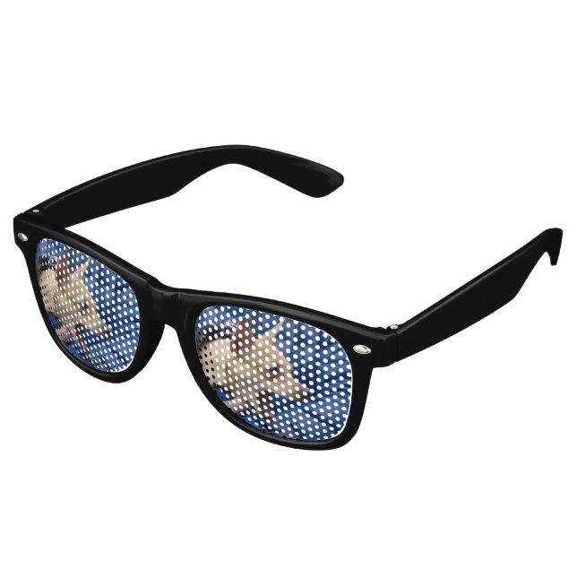 Chihuahua Sonnenbrille (Schrägansicht)