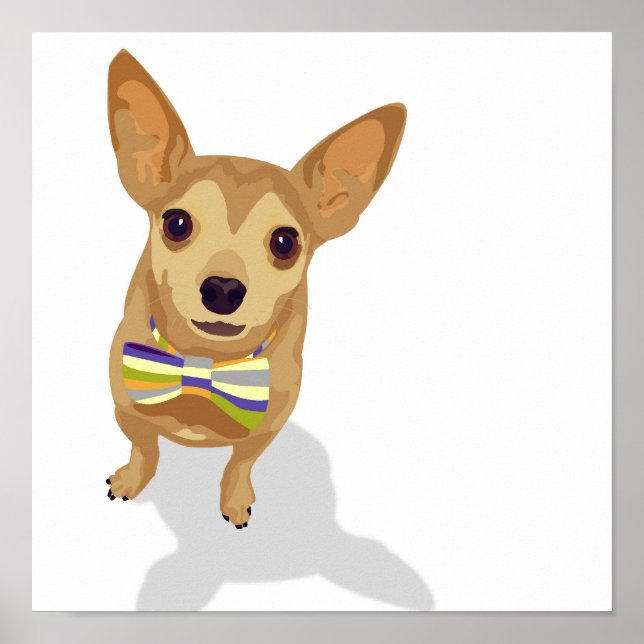 Chihuahua sur une affiche (Devant)