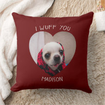 Chihuahua süß wuff du liebst Valentinsherz Foto