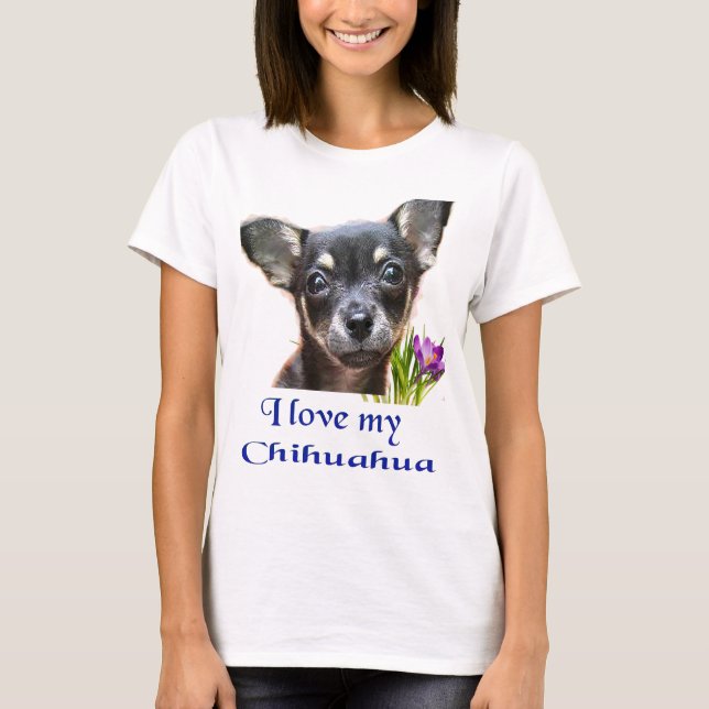 Chihuahua T-Shirt (Vorderseite)