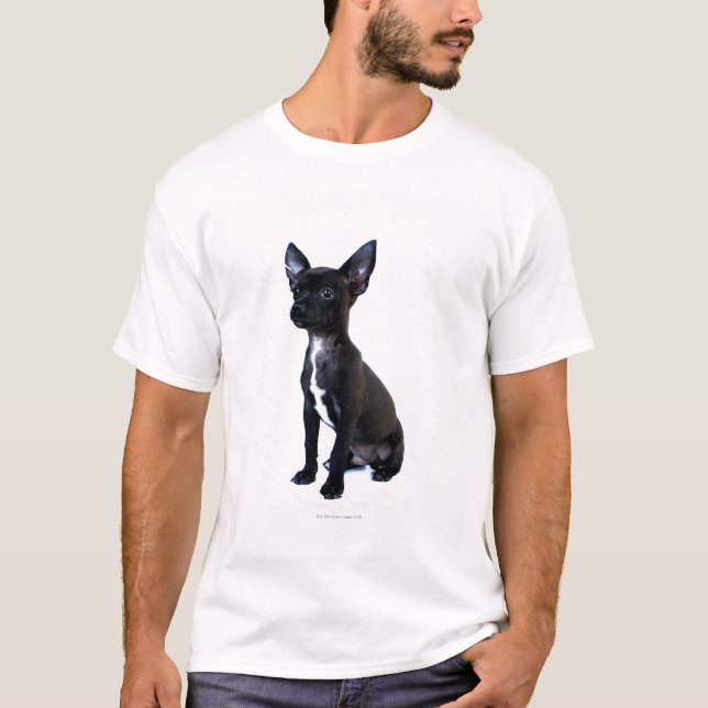 Chihuahua T-Shirt (Vorderseite)