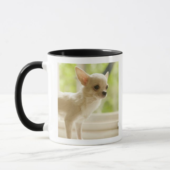 Chihuahua Tasse (Links)