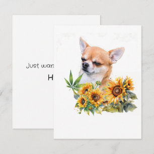 Chihuahua Tournesols Juste Dire Sa Carte De Voeux