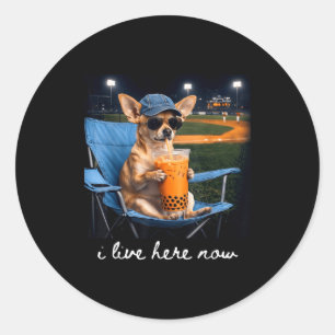 Chihuahua trinkt eisgekühlten Kaffee Baseballfeld  Runder Aufkleber