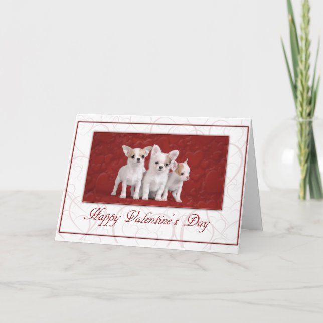 Chihuahua Valentinkarte 2 Feiertagskarte (Vorderseite)