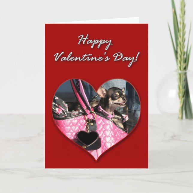 Chihuahua-Valentinstag-Karte Feiertagskarte (Vorderseite)