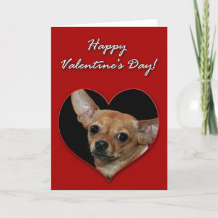 Chihuahua-Valentinstag-Karte Feiertagskarte