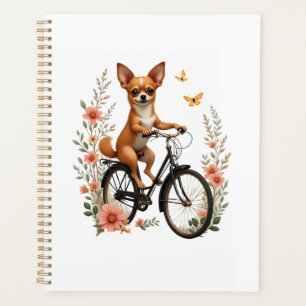 Chihuahua  Vélo  Bicyclette  Chien  Cyclisme 
