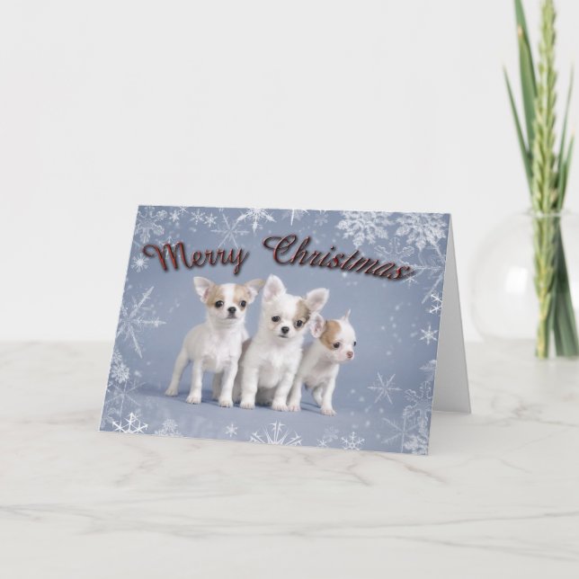 Chihuahua Weihnachten (Vorderseite)