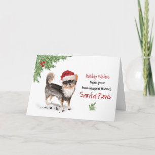 Chihuahua Weihnachten lang Haare Weihnachten Von H Karte