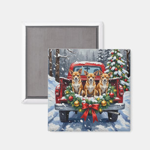 Chihuahua Weihnachten Roter LKW Urlaub Magnet