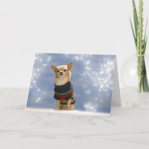 Chihuahua Weihnachtskarte Feiertagskarte